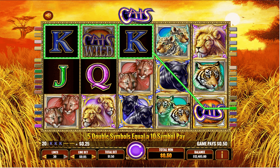 12 Win Casino Online